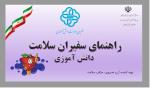 نحوه فعالیت سفیران سلامت